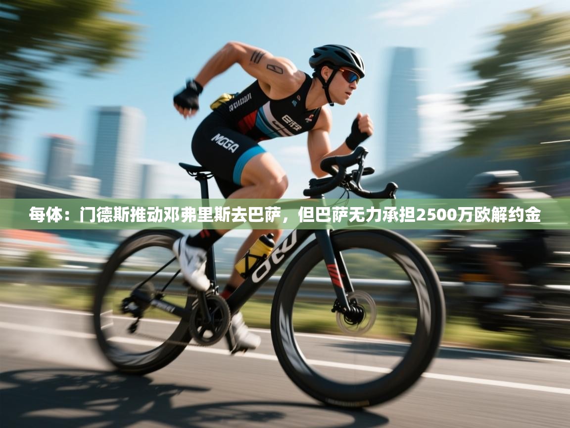 每体：门德斯推动邓弗里斯去巴萨，但巴萨无力承担2500万欧解约金  第1张