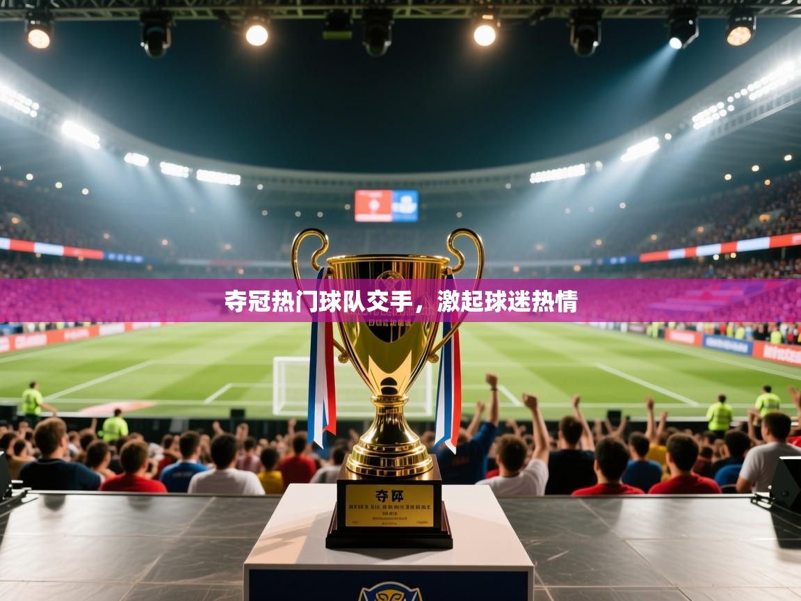 夺冠热门球队交手，激起球迷热情  第1张